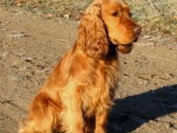 achille_20211130_2006839887